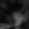 OGIN_
