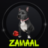 Zamaal