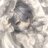 BALTO-