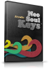 300x425-NeoSoulStudio.png