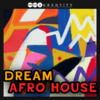 AudentityRecords-DreamAfroHouse.png