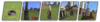 1591713442660.png 1591713442660.png