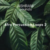 ASHRAM-Afro-Percussion.jpg