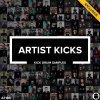 AT180-ARtist-Kicks-1.jpg