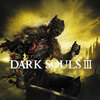 dark-souls-ii-scholar-of-the-first-sin-pc-jeu-steam-cover_1.jpg