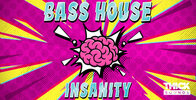 THICK_SOUNDS_Bass_House_Insanity_Banner_Artwork.jpg