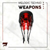 Polarity Studio - Melodic Techno Weapons Vol. 2.jpg