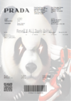 final_prada_374.png final_prada_374.png