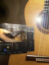 Session-Guitarist-PICKED-NYLON-E-D5Hf-original.jpeg