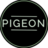 pigeonmal