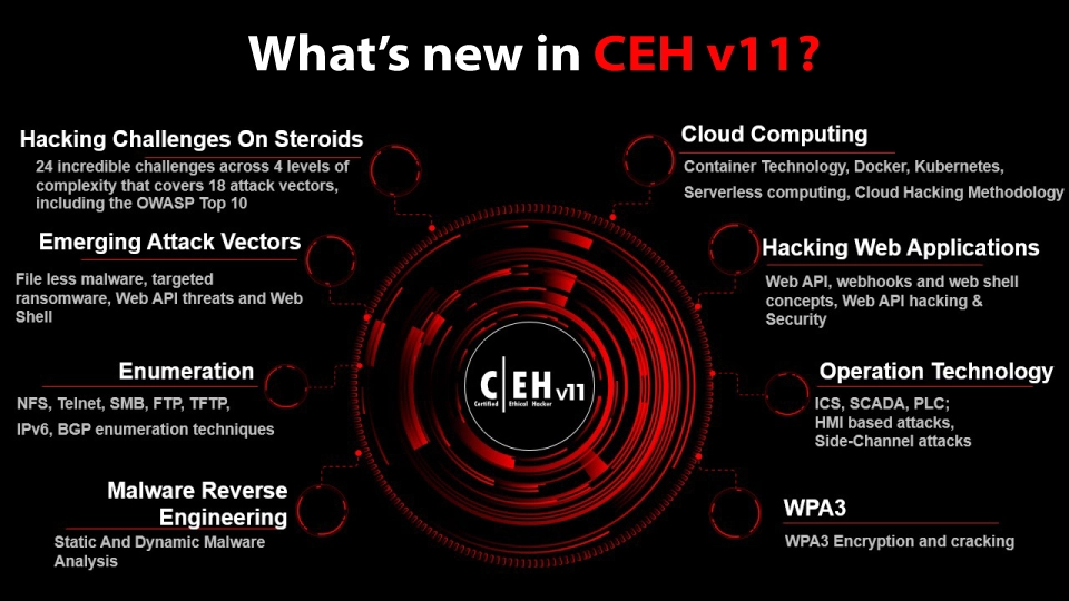img4-ceh-certified-ethical-hacker-v11.jpg